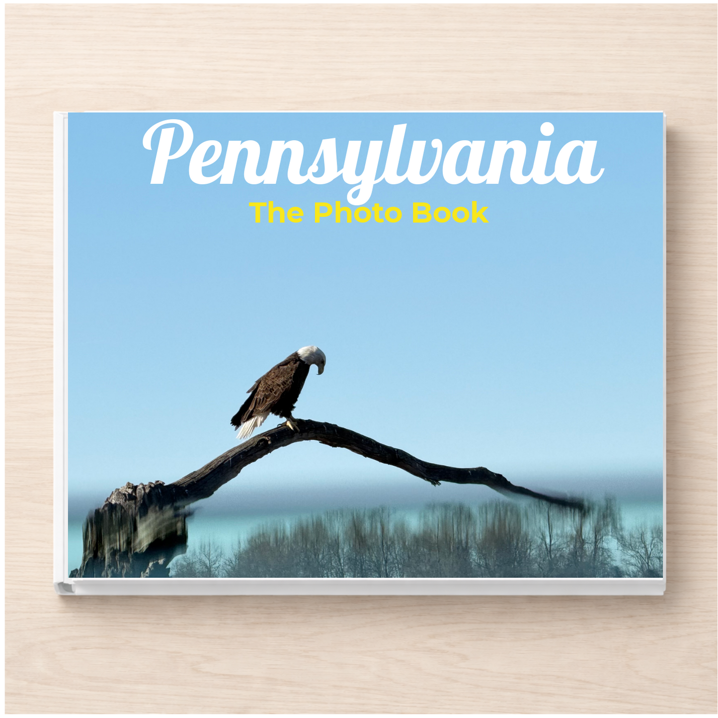 Pennsylvania: The Photo Book