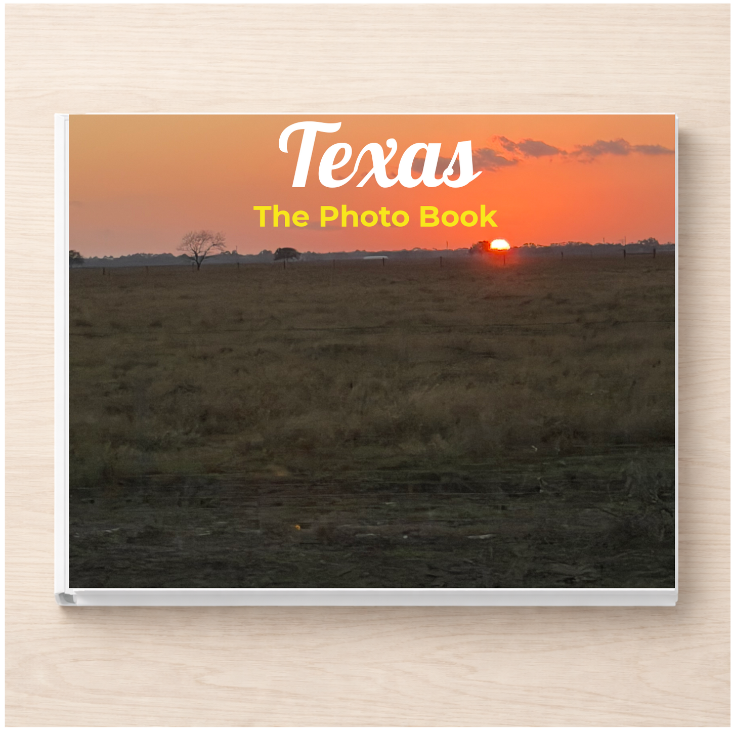 Texas: The Photo Book