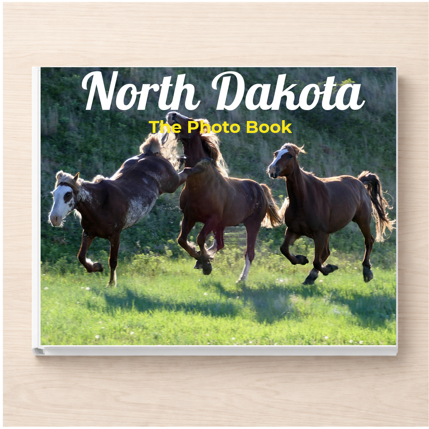North Dakota: The Photo Book