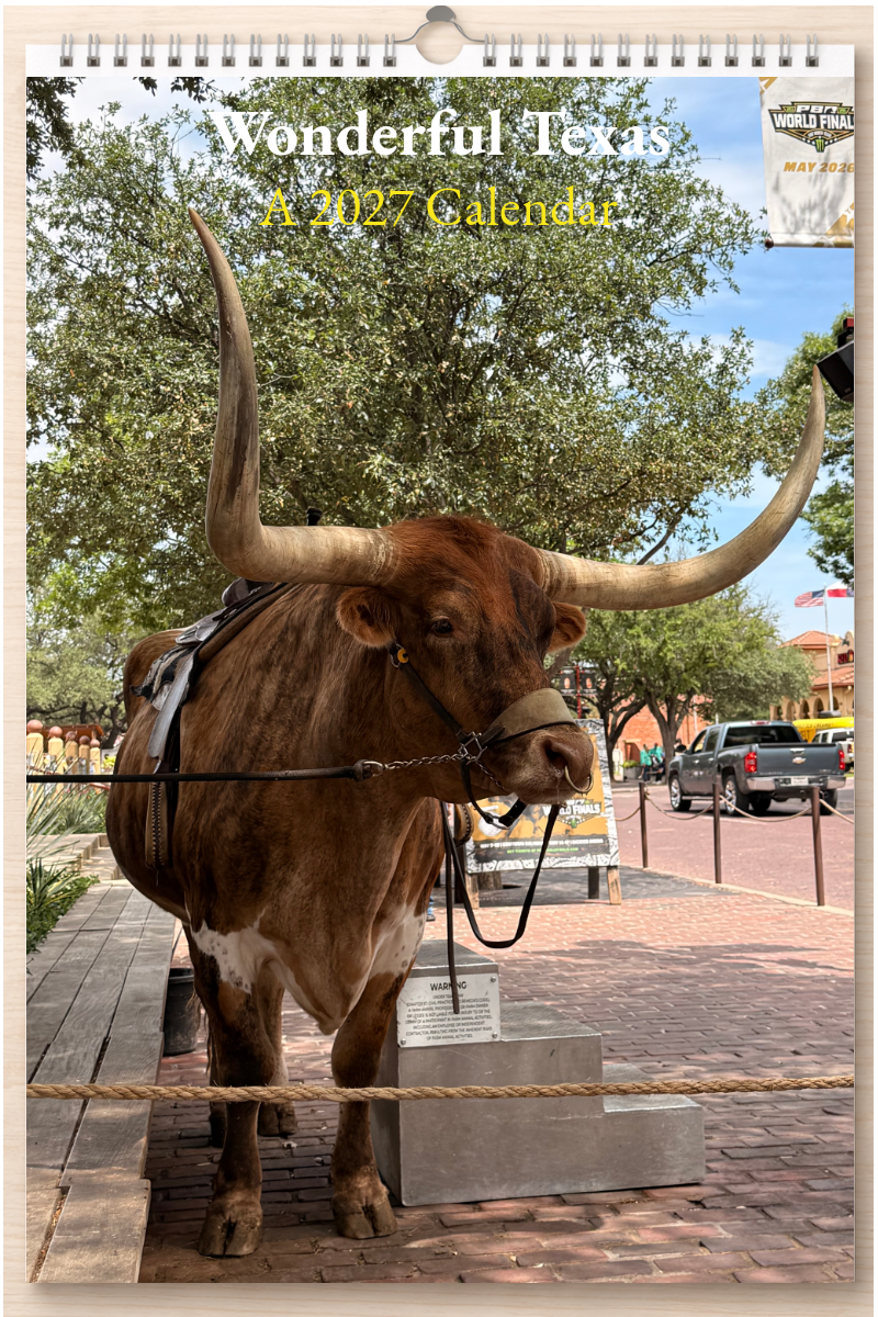 Wonderful Texas: A 2027 Calendar