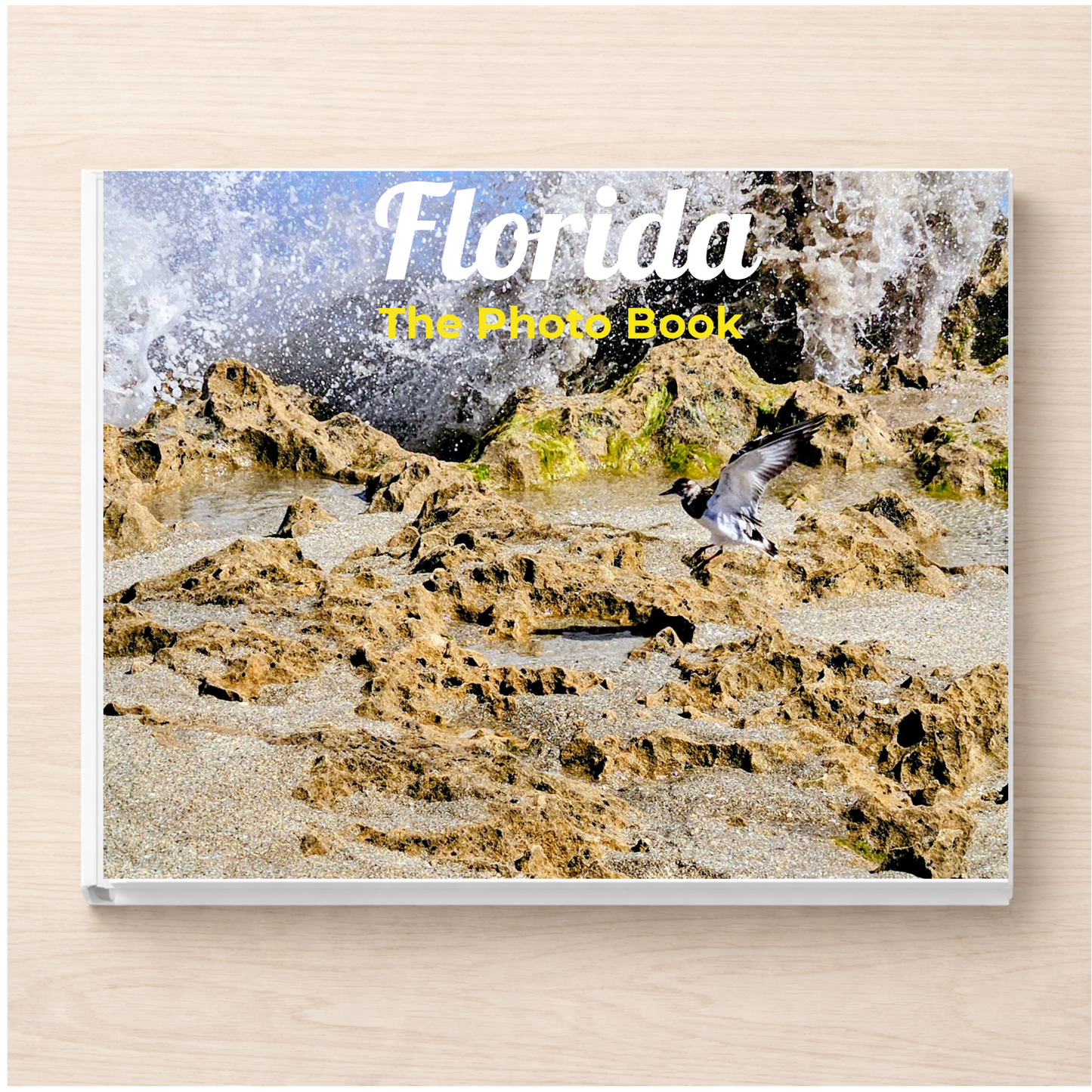 Florida: The Photo Book