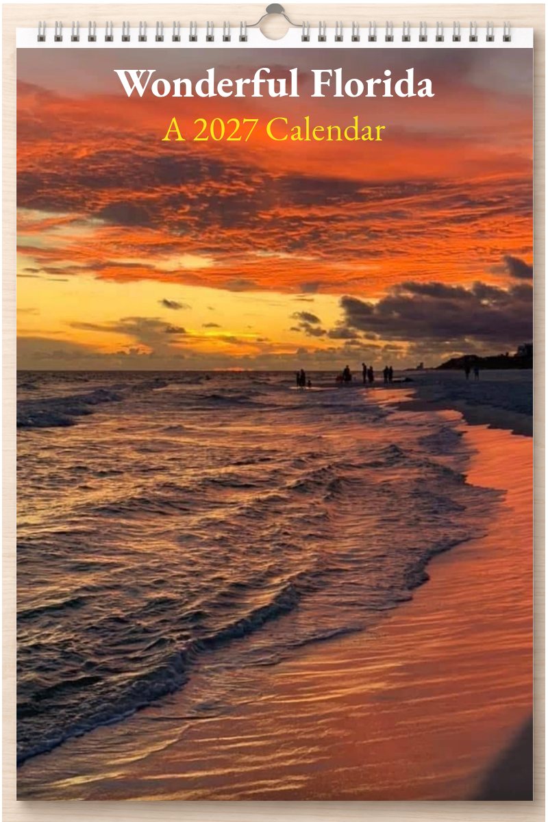 Wonderful Florida: A 2027 Calendar
