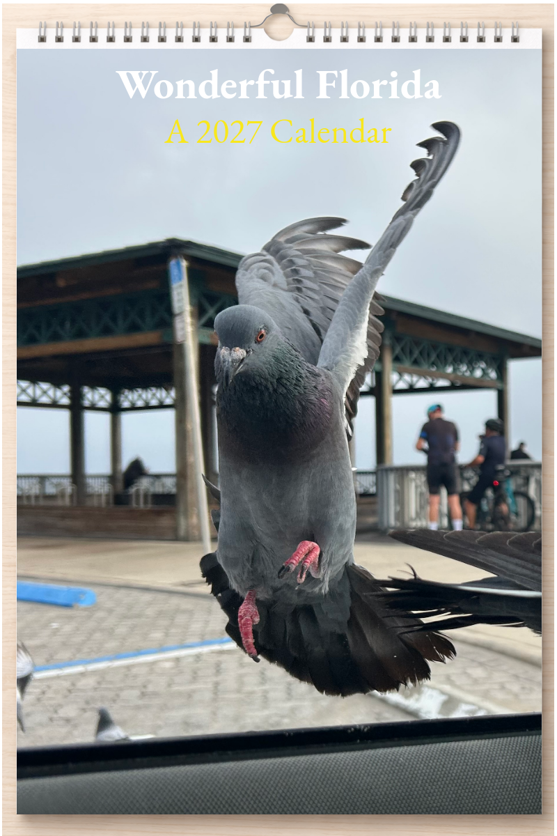 Wonderful Florida: A 2027 Calendar
