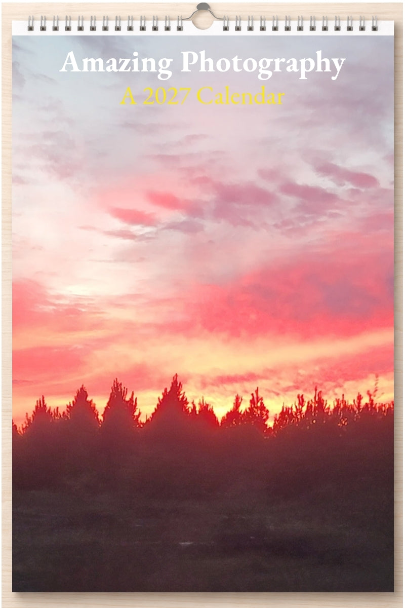 Amazing Photography: A 2027 Calendar