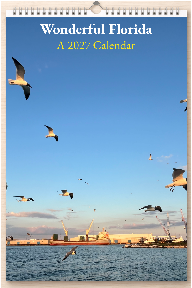Wonderful Florida: A 2027 Calendar