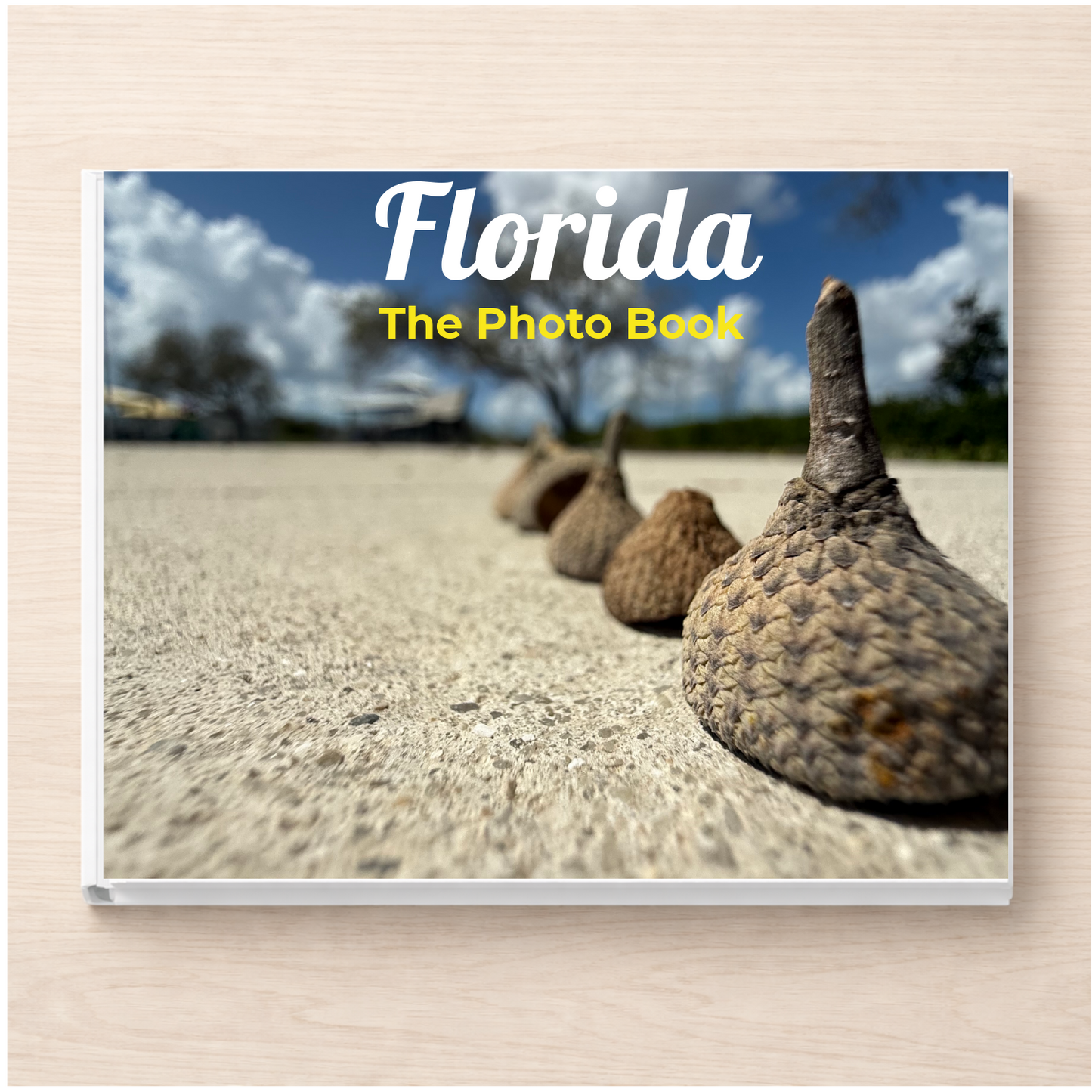 Florida: The Photo Book