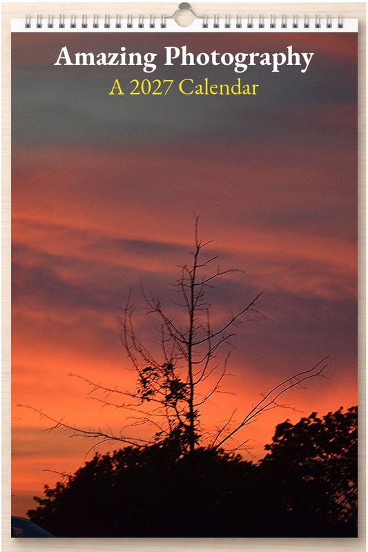 Amazing Photography: A 2027 Calendar