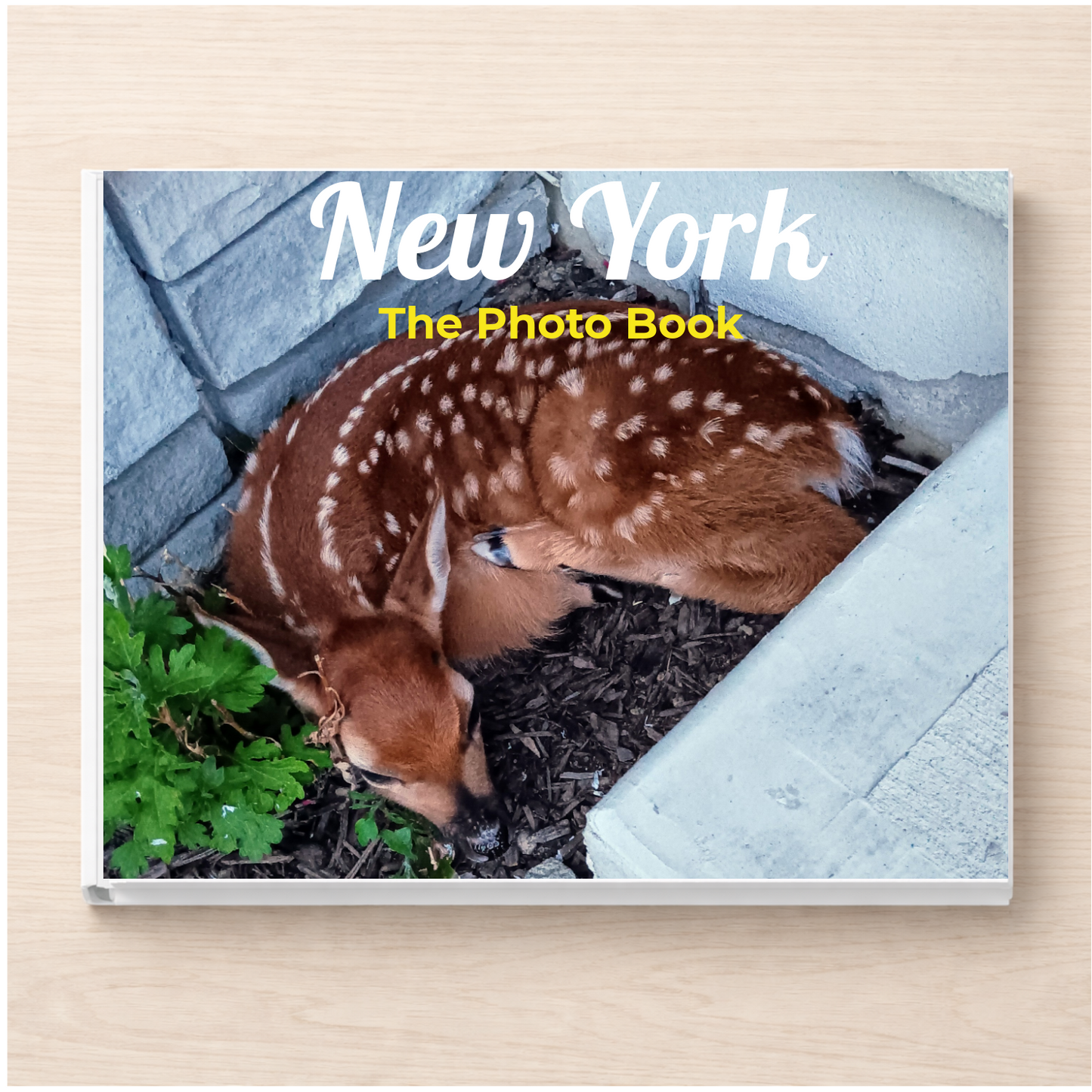 New York: The Photo Book
