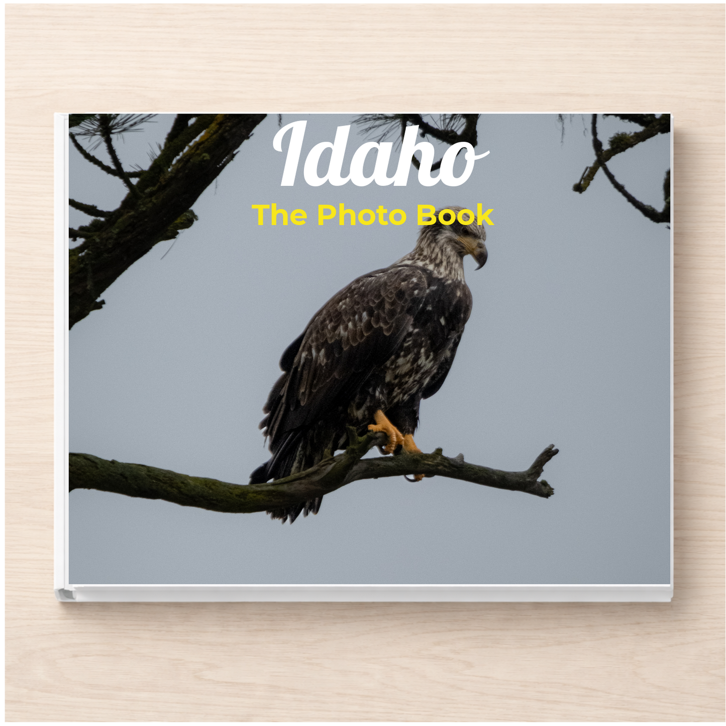 Idaho: The Photo Book