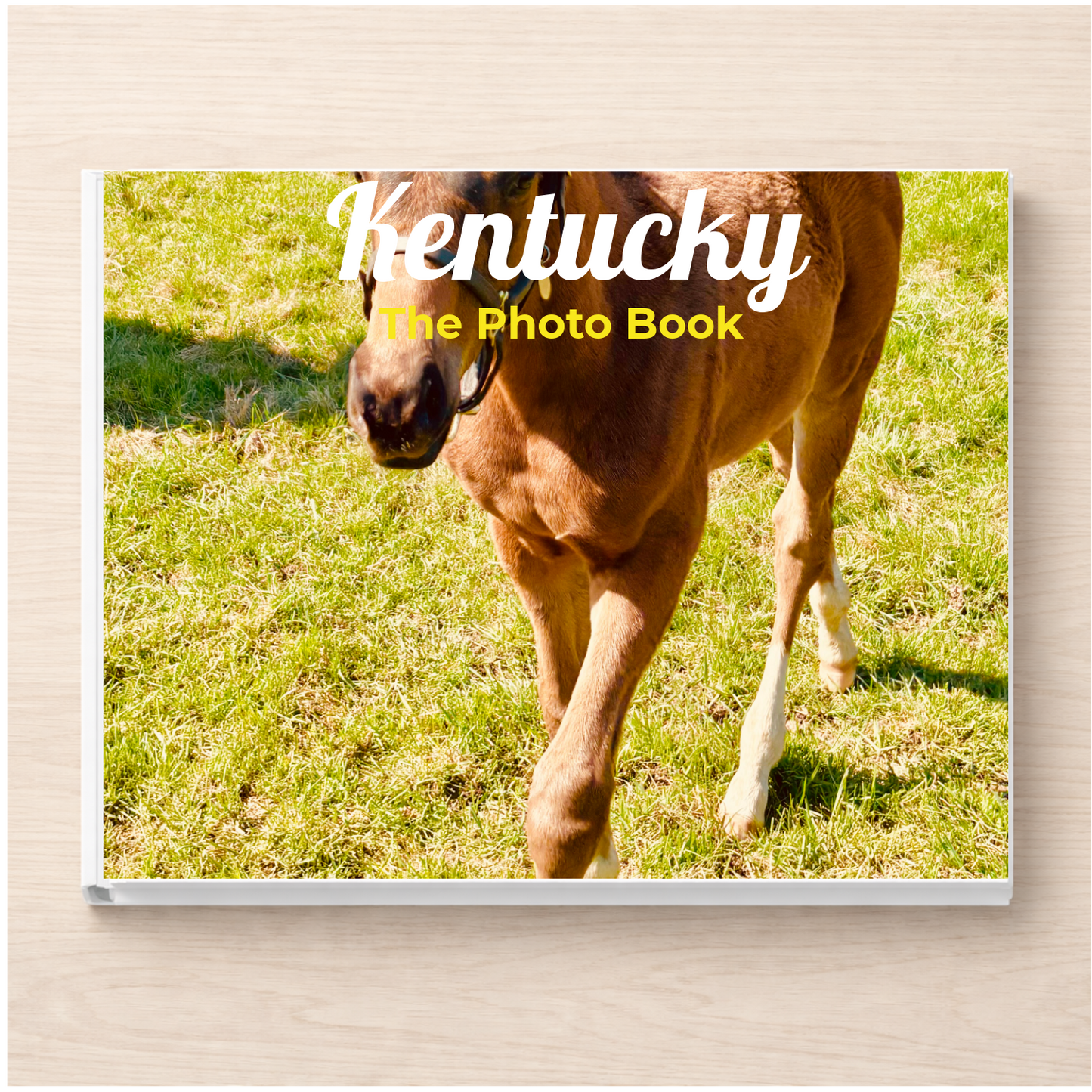 Kentucky: The Photo Book