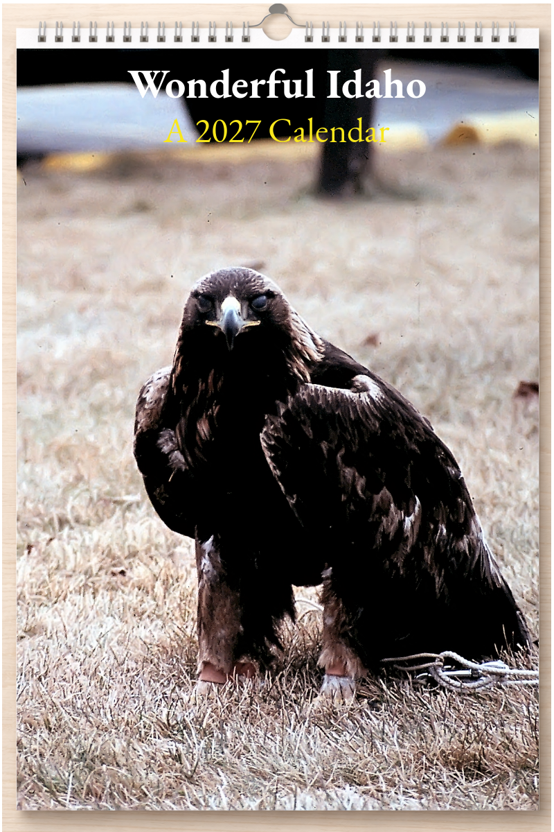Wonderful Idaho: A 2027 Calendar