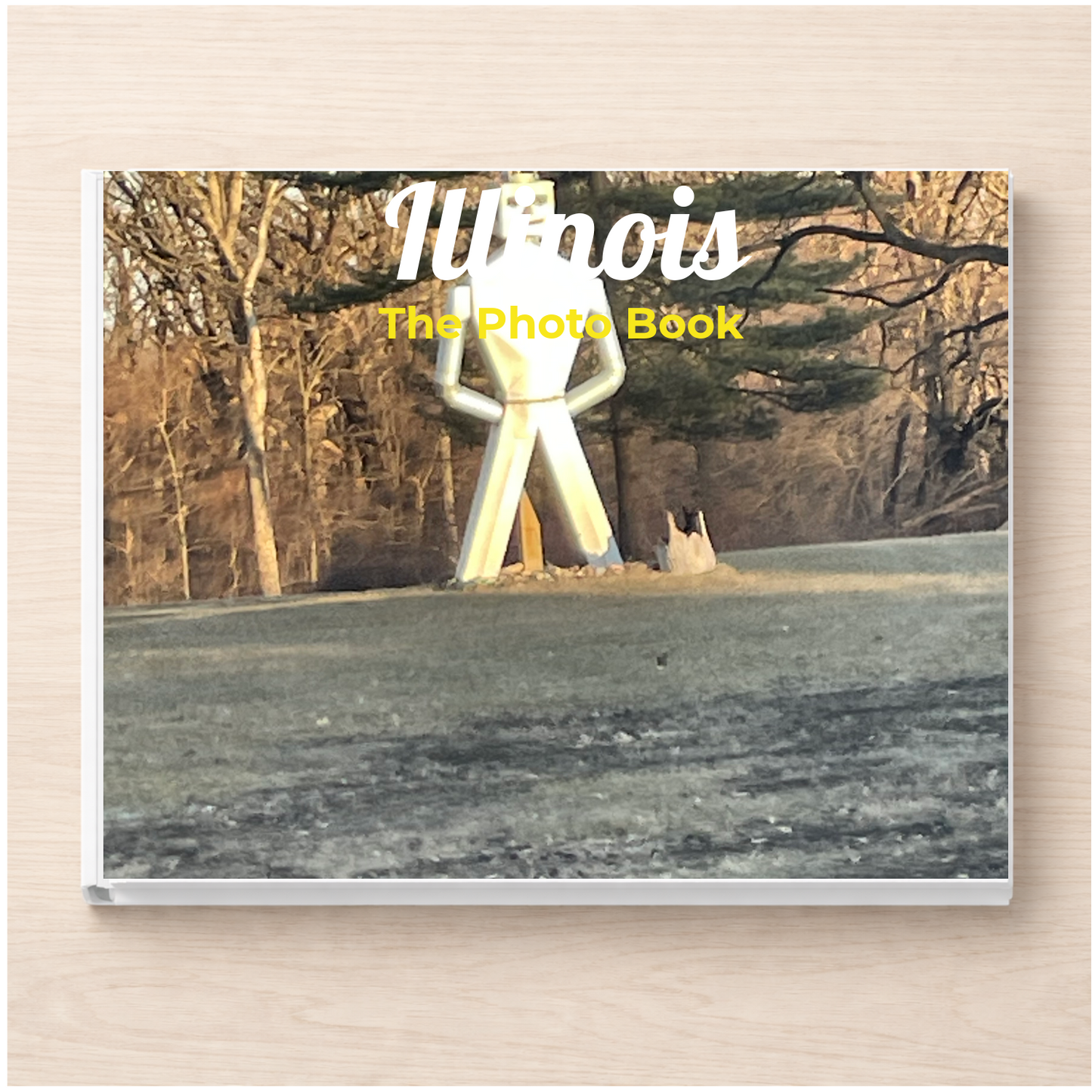 Illinois: The Photo Book