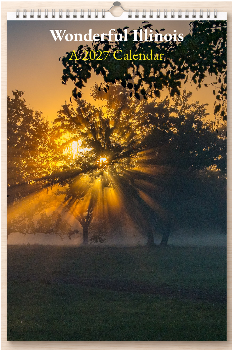Wonderful Illinois: A 2027 Calendar