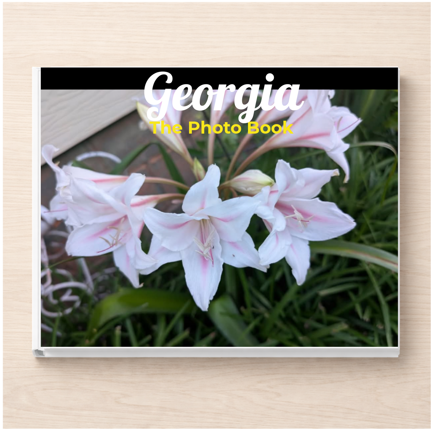 Georgia: The Photo Book