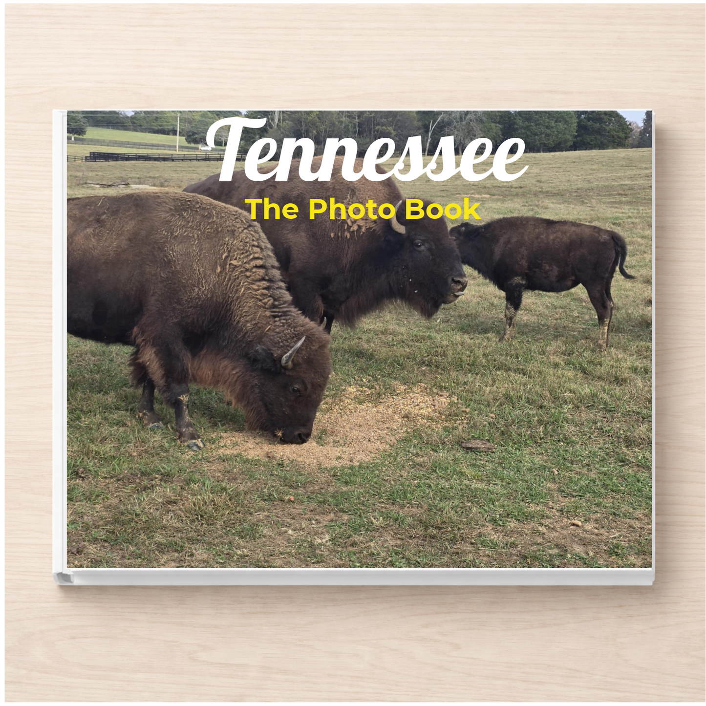 Tennessee: The Photo Book