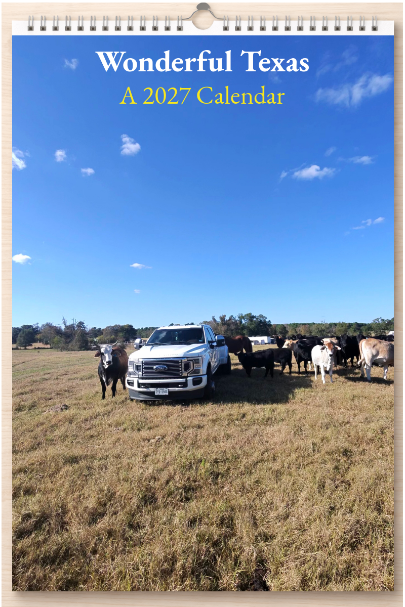 Wonderful Texas: A 2027 Calendar
