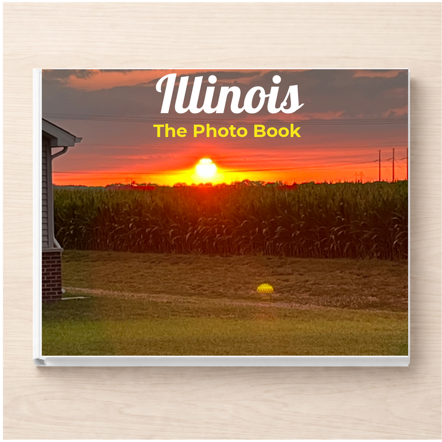 Illinois: The Photo Book