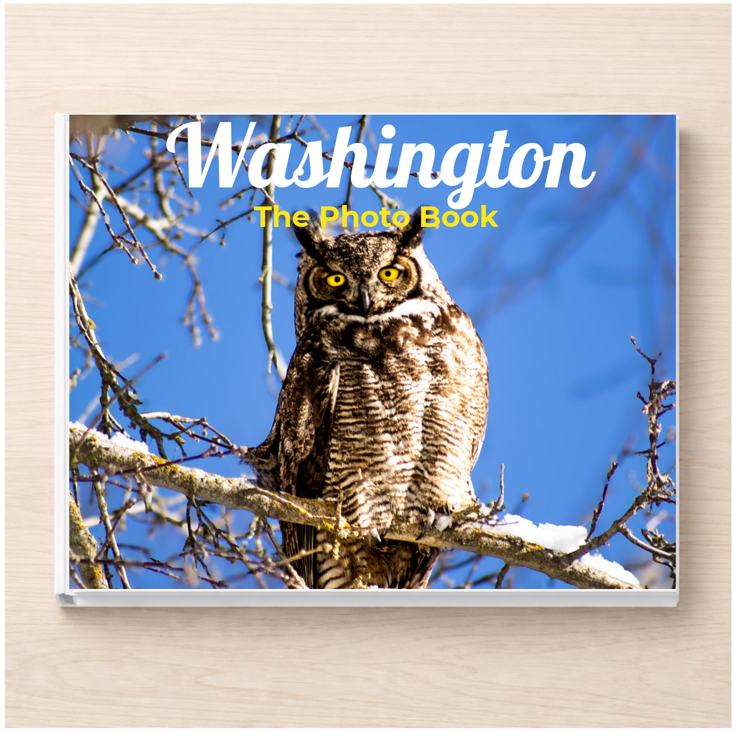 Washington: The Photo Book