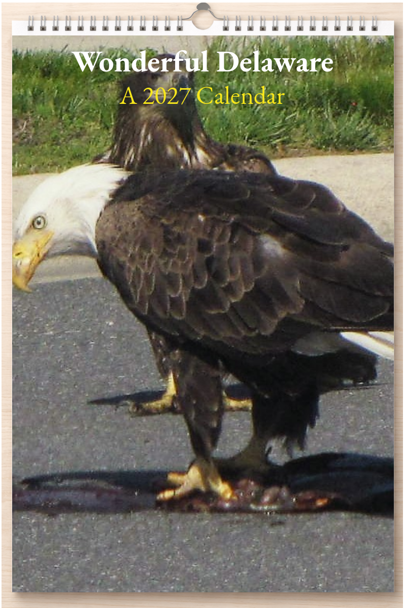 Wonderful Delaware: A 2027 Calendar