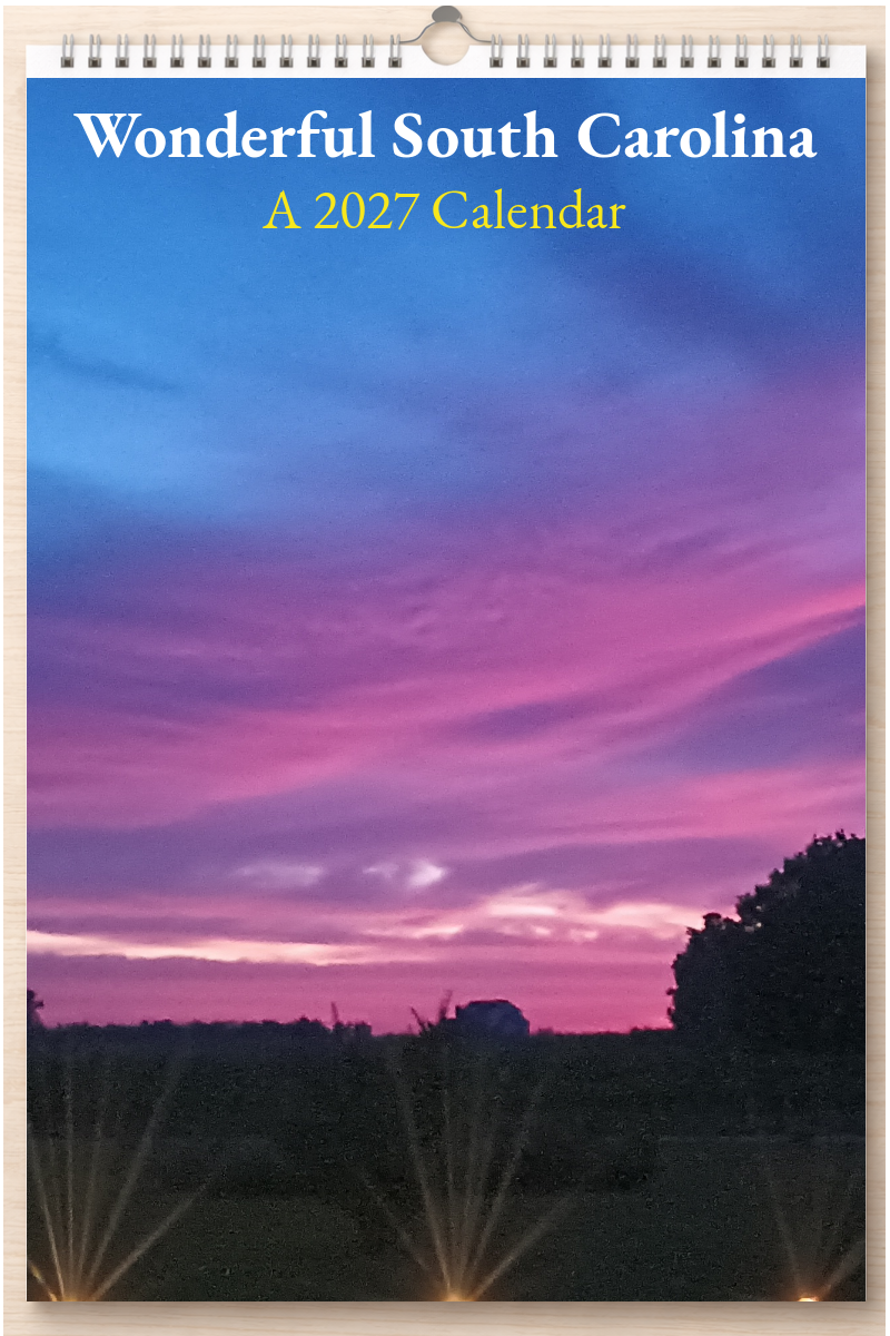 Wonderful South Carolina: A 2027 Calendar
