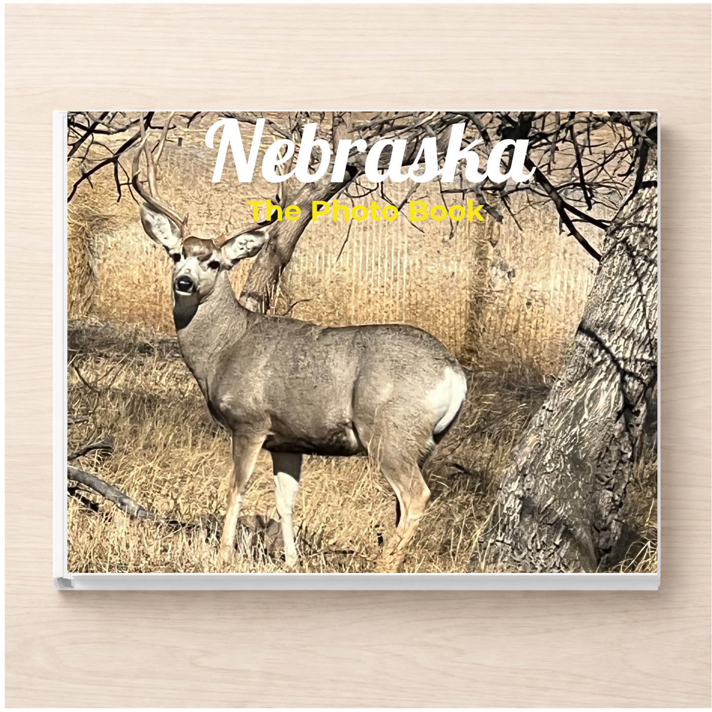 Nebraska: The Photo Book