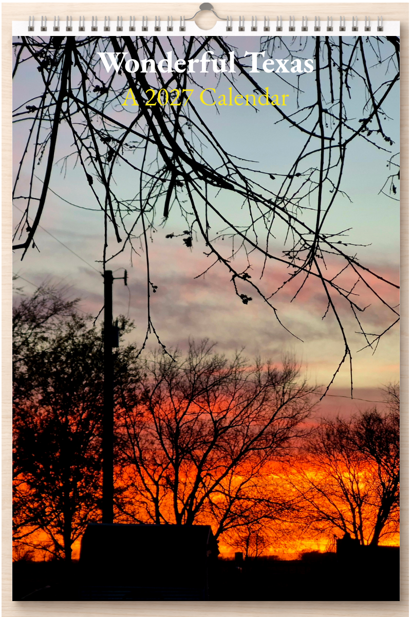 Wonderful Texas: A 2027 Calendar
