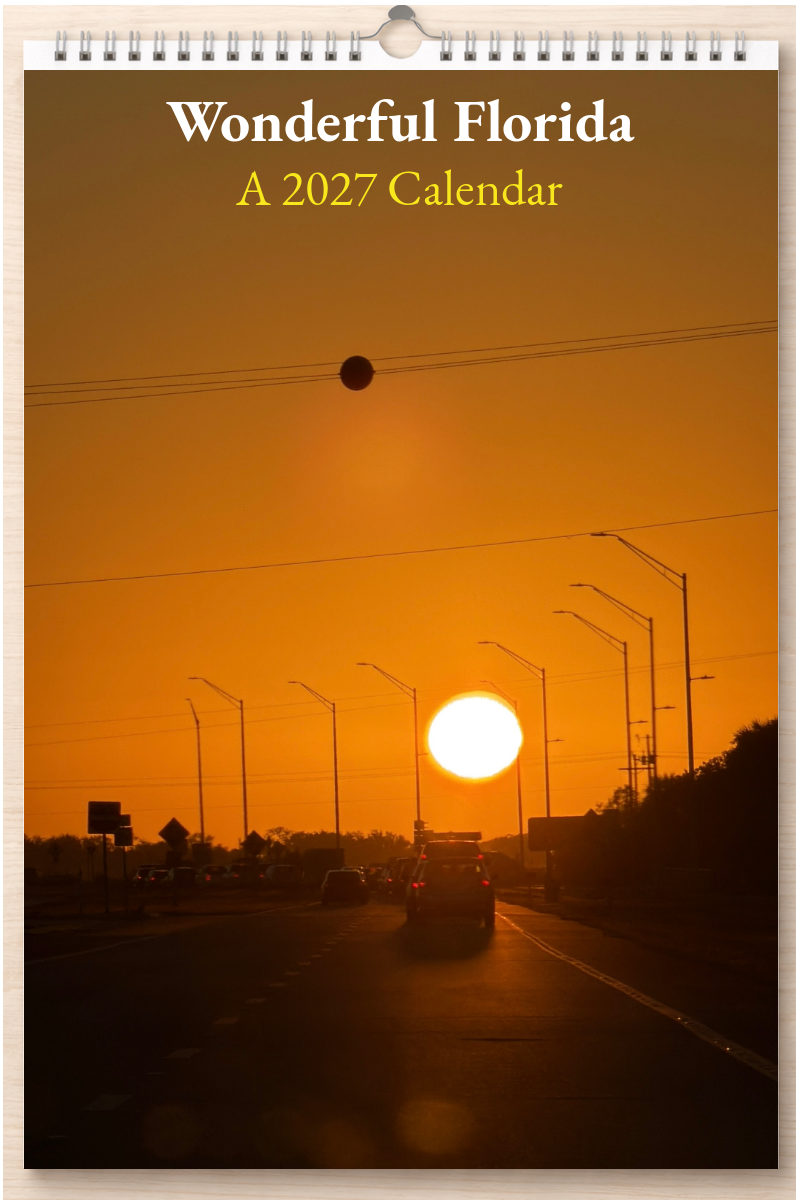 Wonderful Florida: A 2027 Calendar