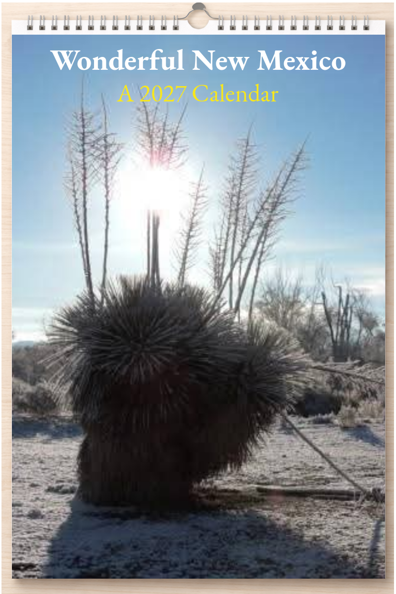 Wonderful New Mexico: A 2027 Calendar