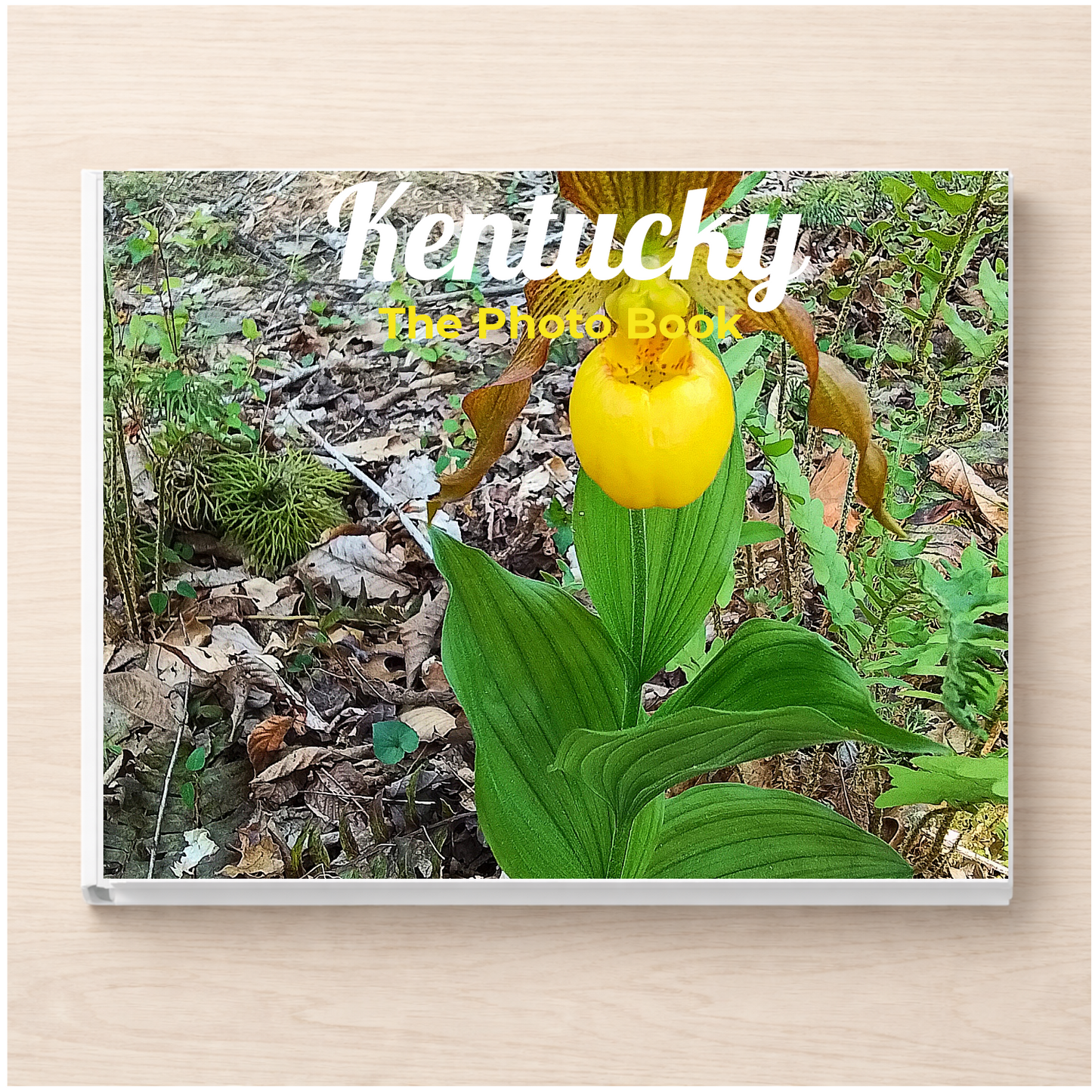 Kentucky: The Photo Book