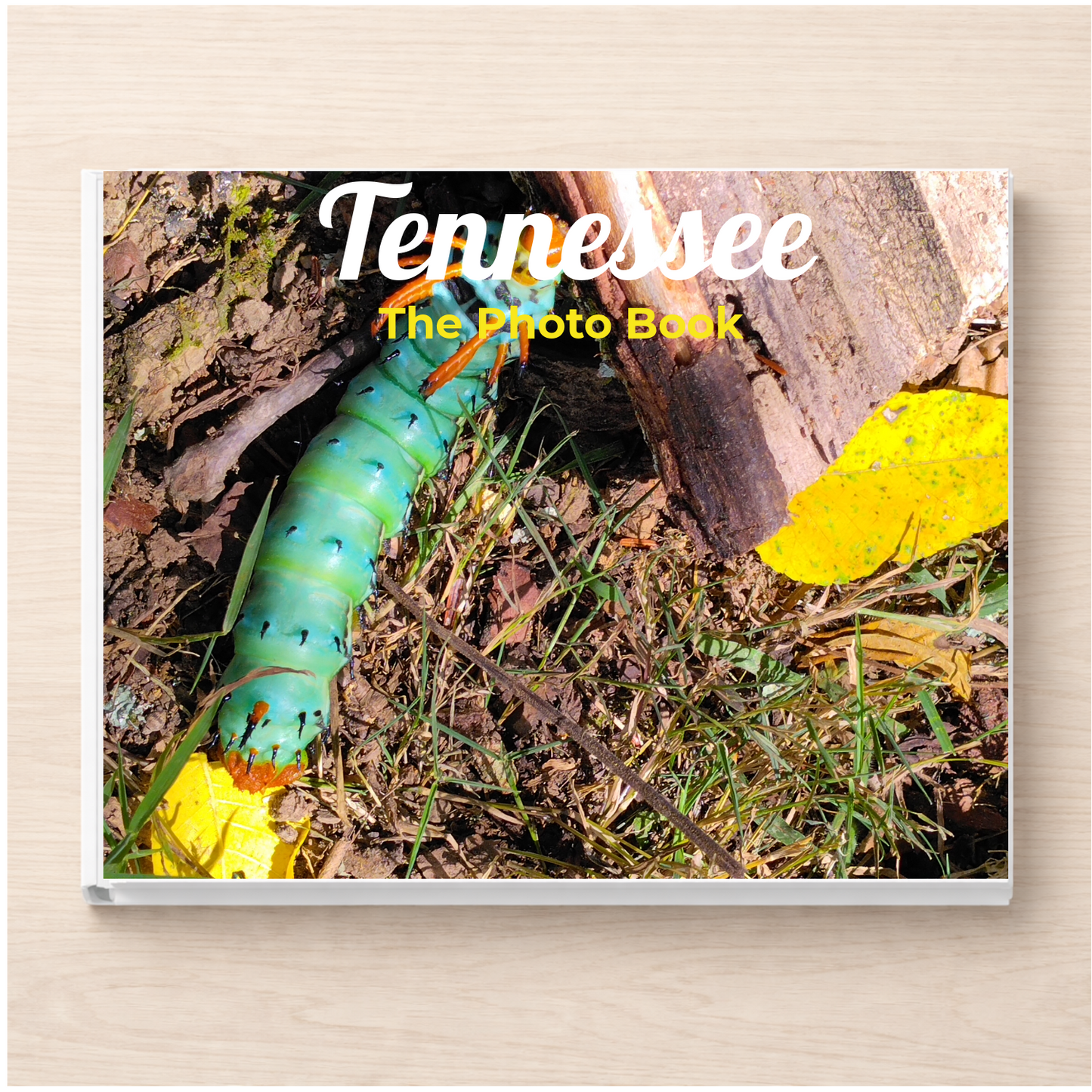 Tennessee: The Photo Book