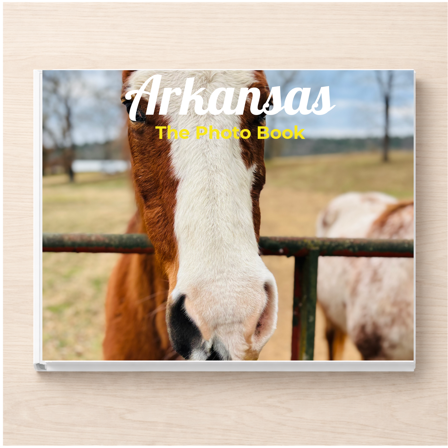 Arkansas: The Photo Book