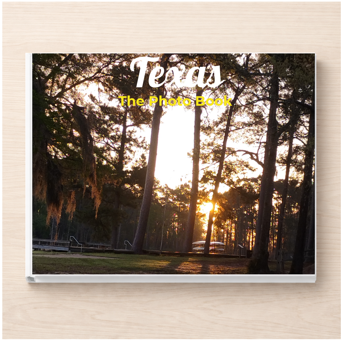 Texas: The Photo Book