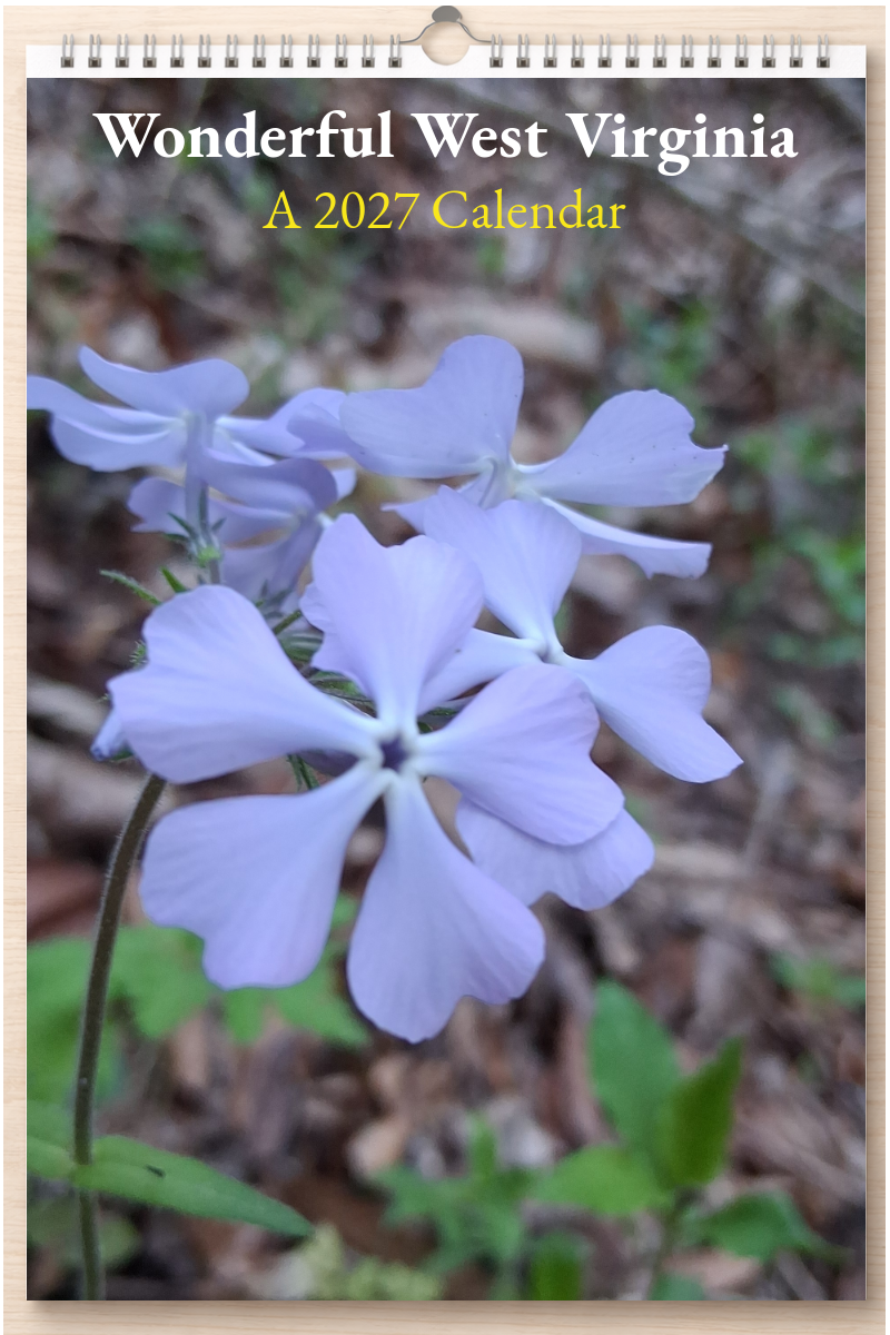 Wonderful West Virginia: A 2027 Calendar
