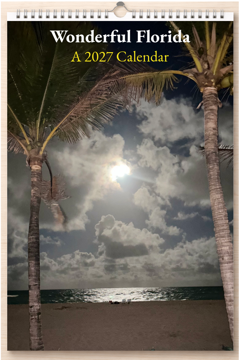 Wonderful Florida: A 2027 Calendar