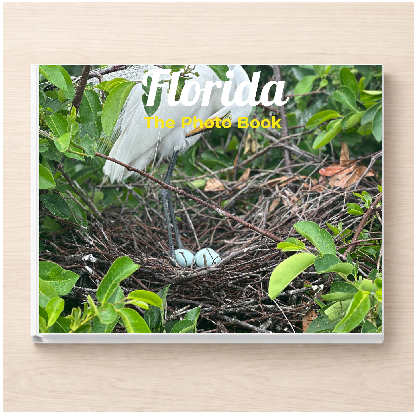 Florida: The Photo Book