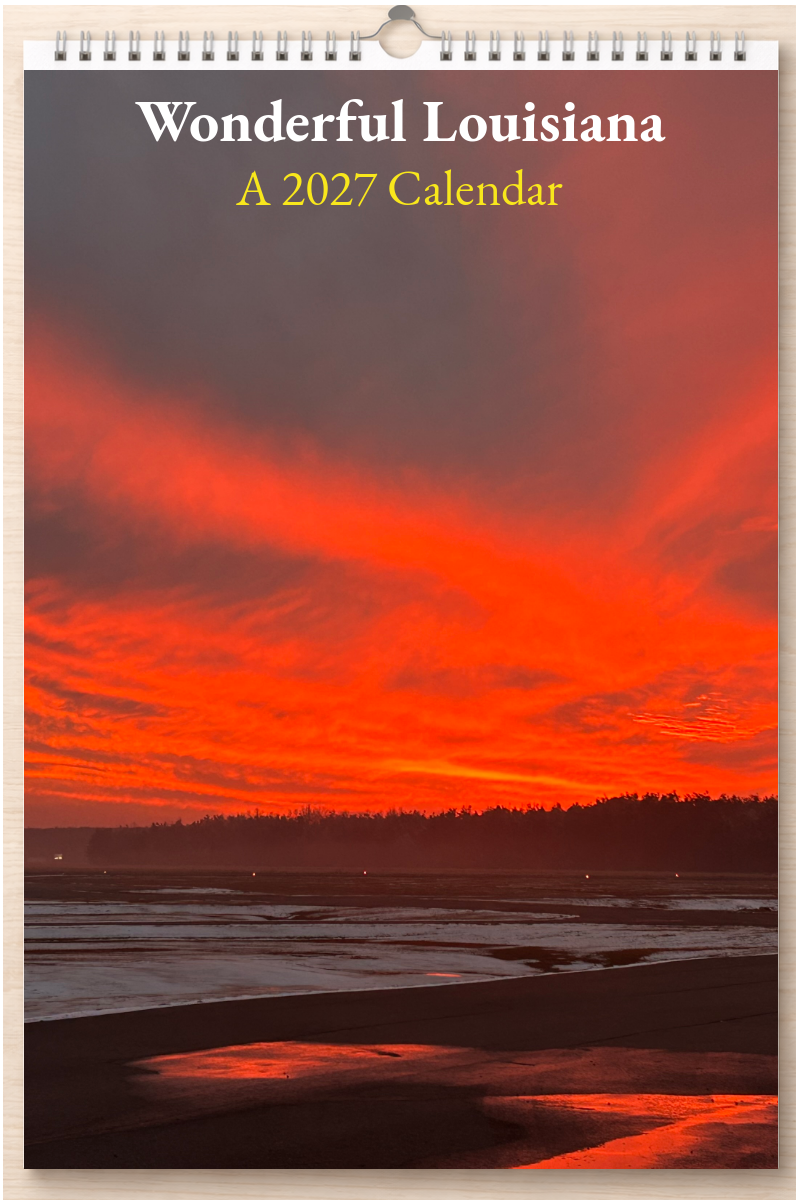 Wonderful Louisiana: A 2027 Calendar