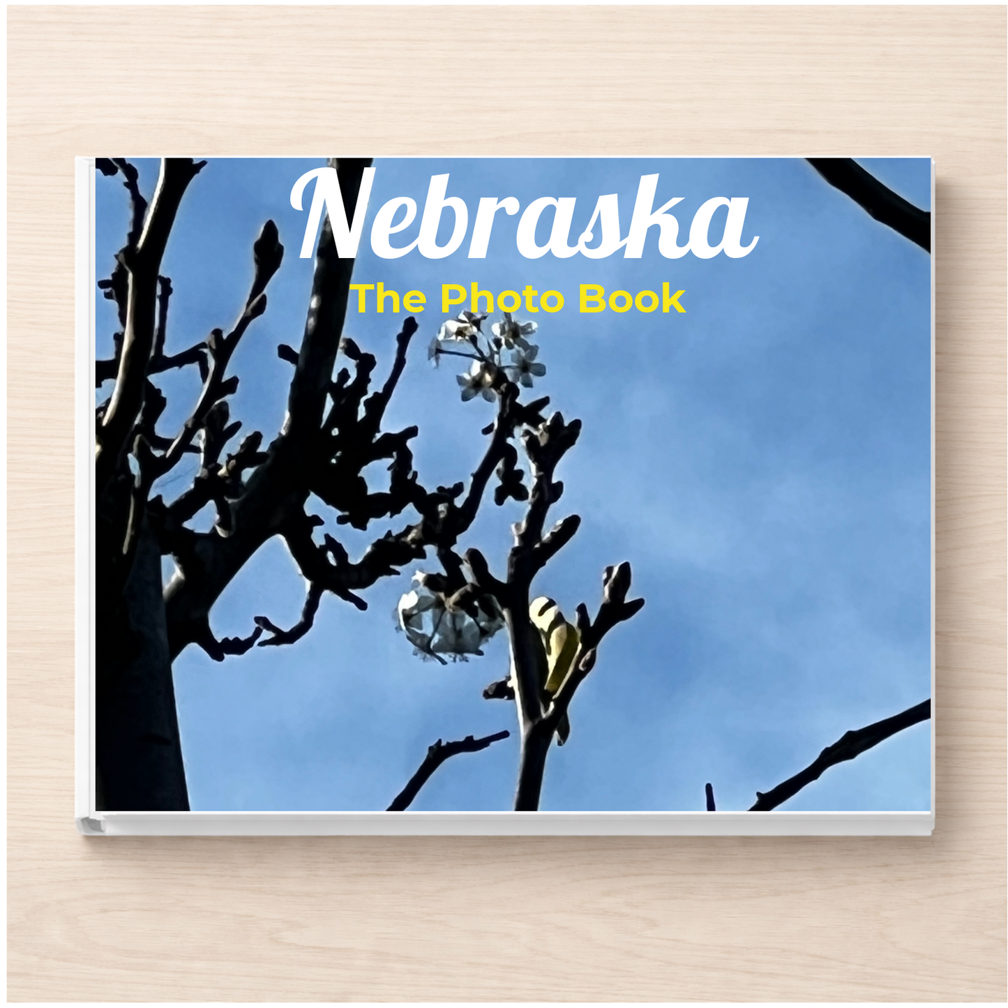 Nebraska: The Photo Book