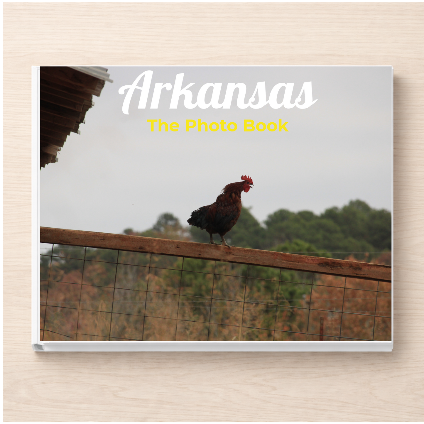 Arkansas: The Photo Book