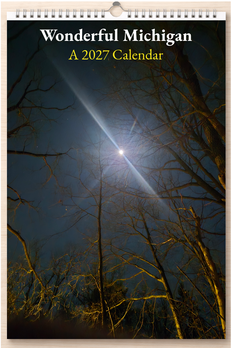Wonderful Michigan: A 2027 Calendar