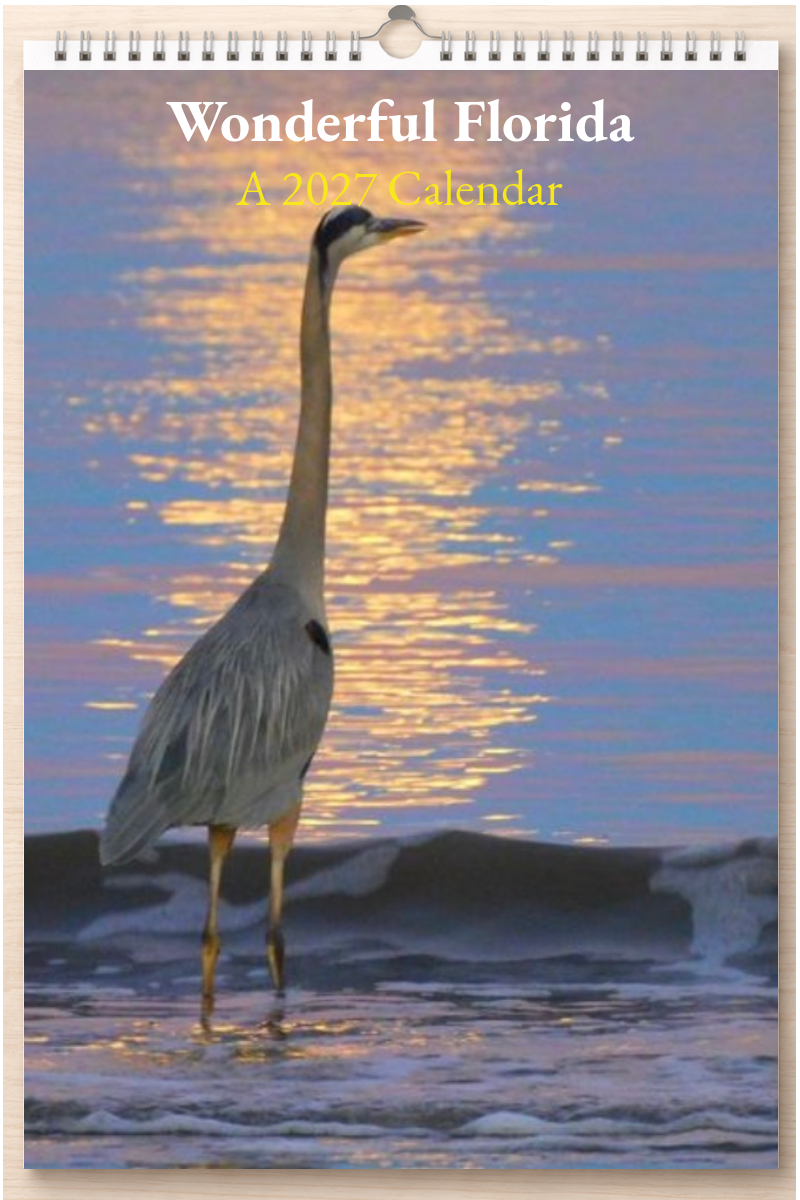Wonderful Florida: A 2027 Calendar