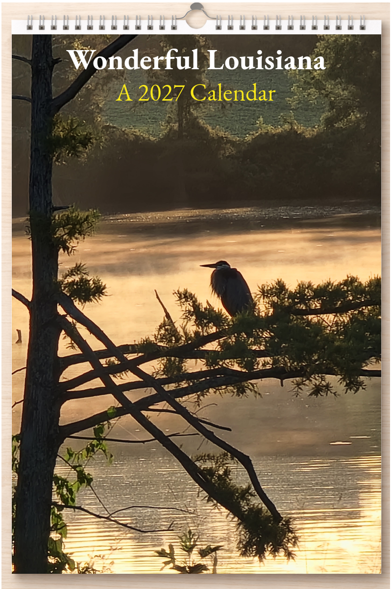 Wonderful Louisiana: A 2027 Calendar