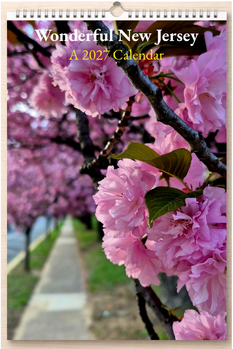 Wonderful New Jersey: A 2027 Calendar