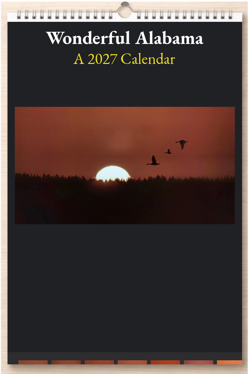 Wonderful Alabama: A 2027 Calendar