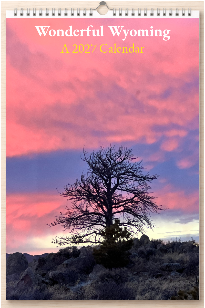 Wonderful Wyoming: A 2027 Calendar