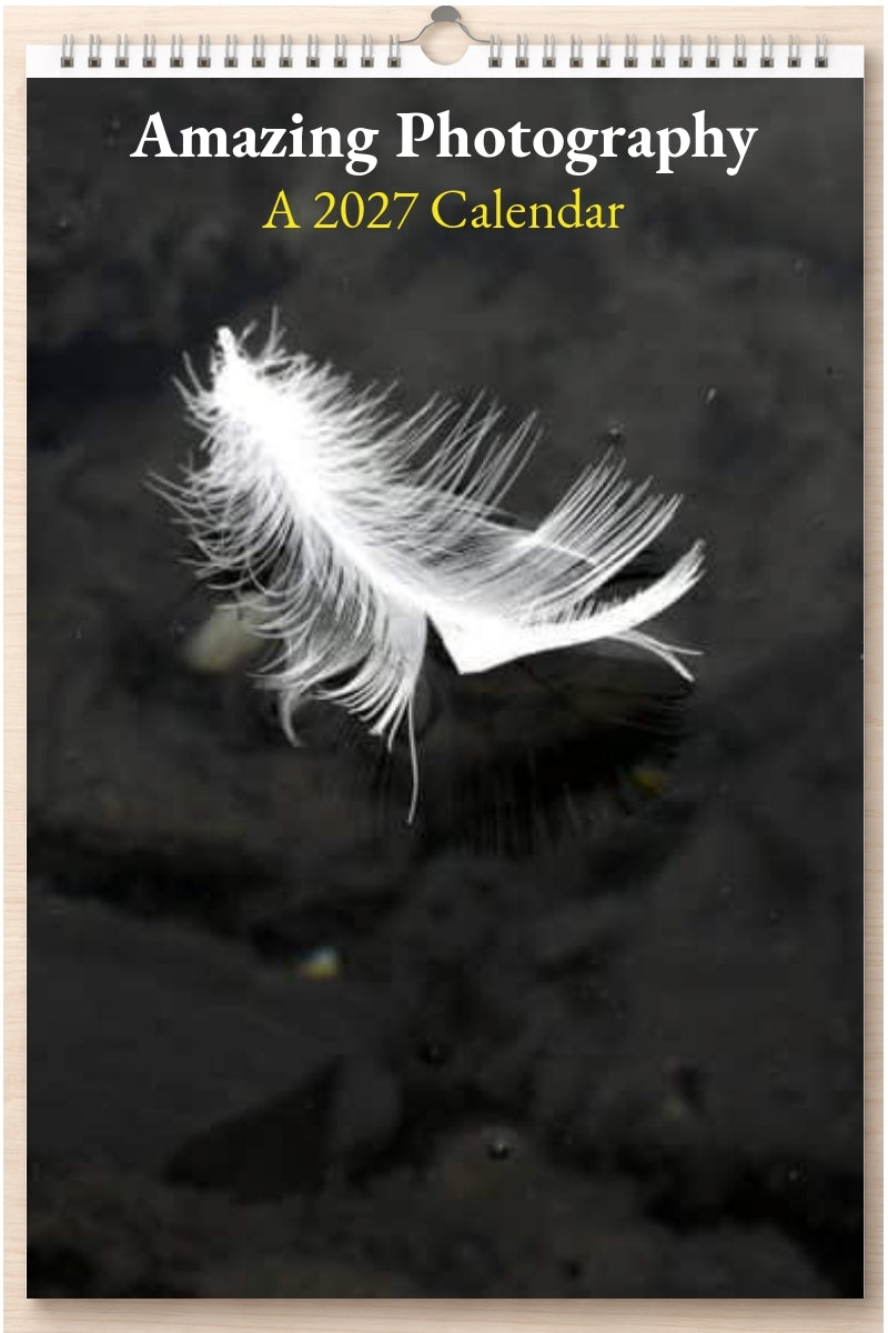 Amazing Photography: A 2027 Calendar