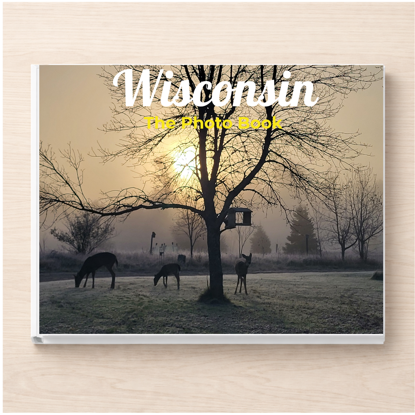 Wisconsin: The Photo Book