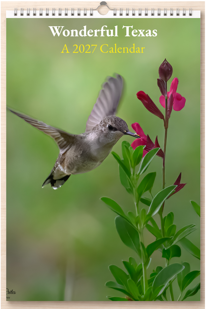 Wonderful Texas: A 2027 Calendar