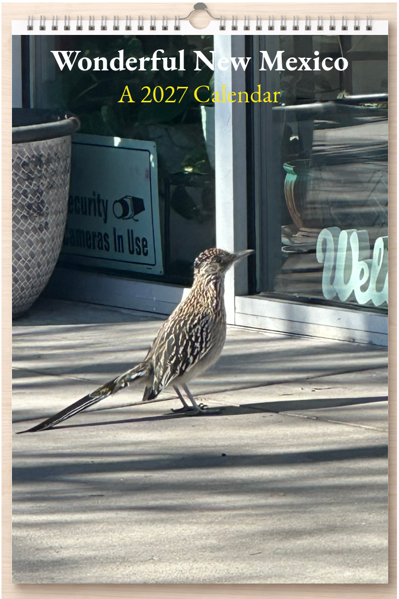 Wonderful New Mexico: A 2027 Calendar
