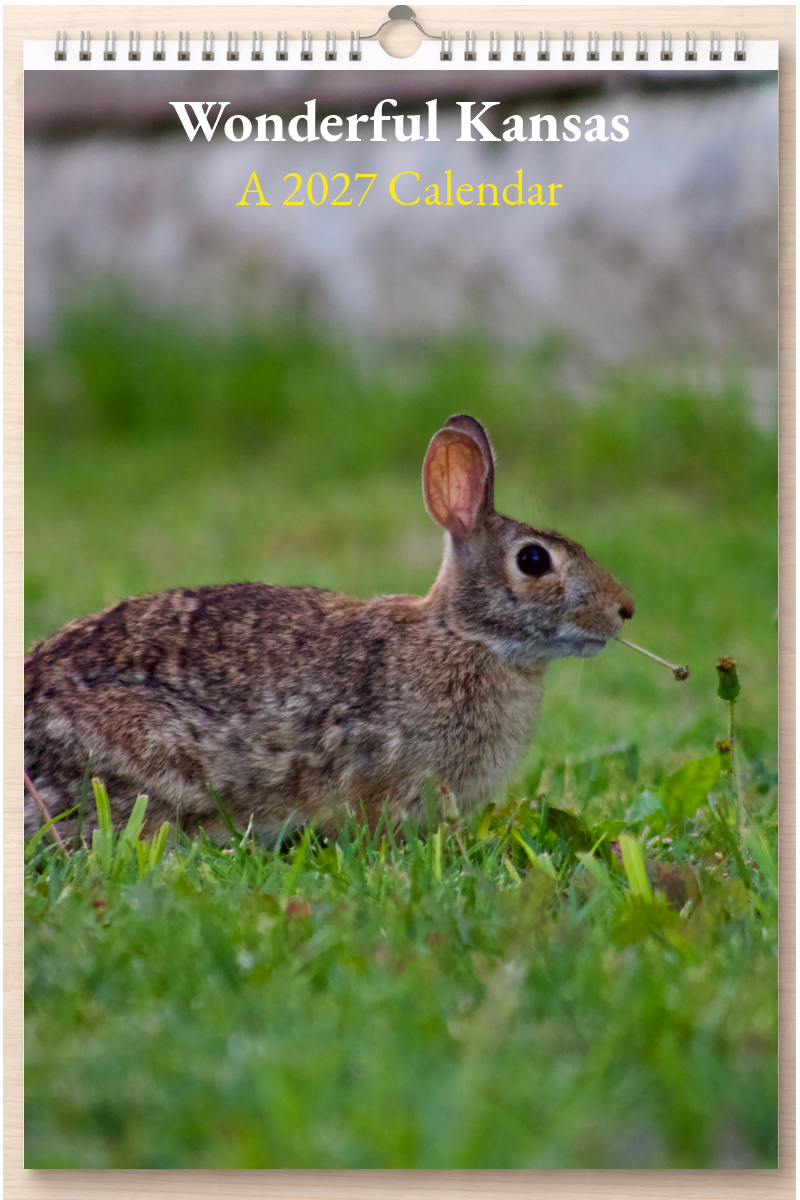 Wonderful Kansas: A 2027 Calendar