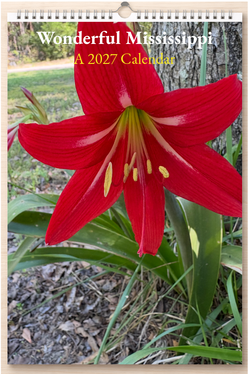 Wonderful Mississippi: A 2027 Calendar